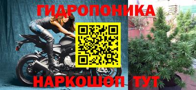 гашик Малгобек