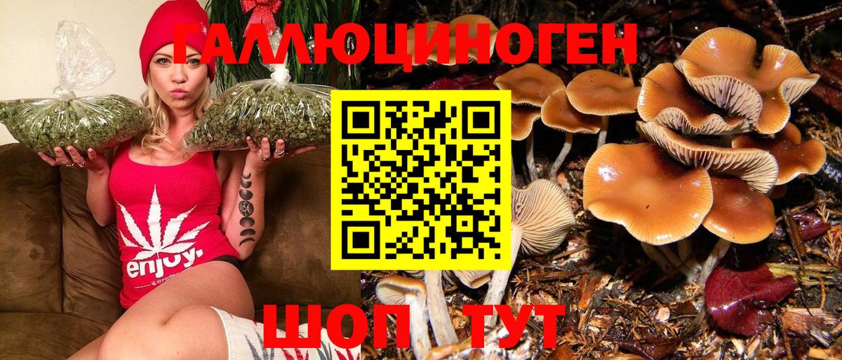 Псилоцибиновые грибы MAGIC MUSHROOMS  Вход с VPN  Губкин 